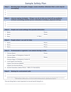 Safety Plan Template