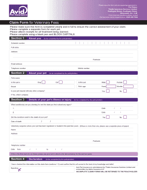 Form preview picture