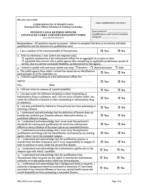 Form preview picture