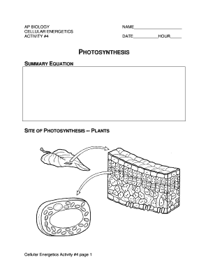 AP Biology Photosynthesis Worksheet