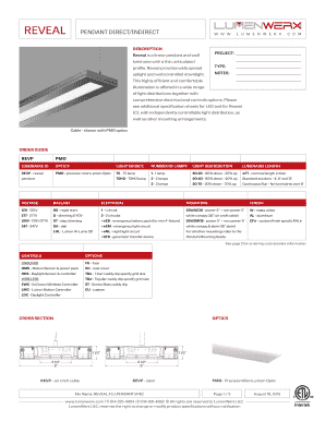 REVEAL PENDANT DIRECTINDIRECT - LumenWerx