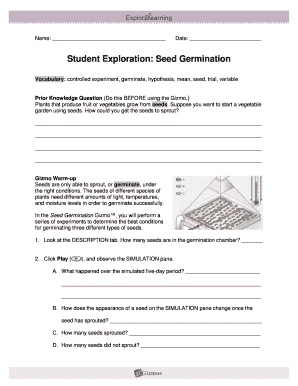 Form preview picture