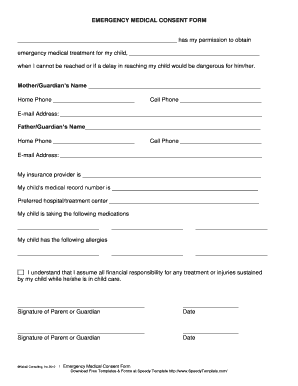 Emergency Medical Consent Form