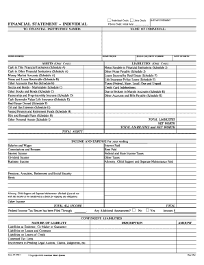 Individual Credit Financial Statement