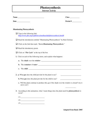 Photosynthesis Internet Activity Worksheet