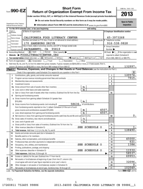Form 990-EZ 2013