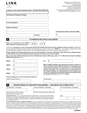 Investment Holding Merge Form