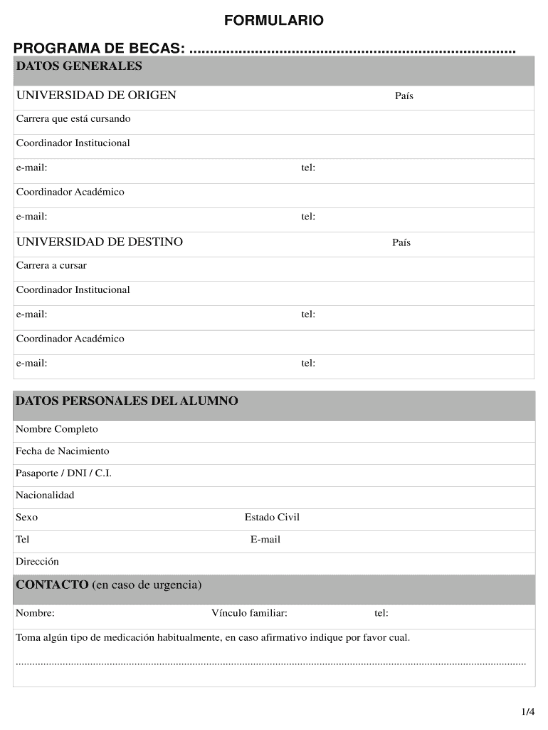 PROGRAMA DE BECAS Vista previa en la página 1