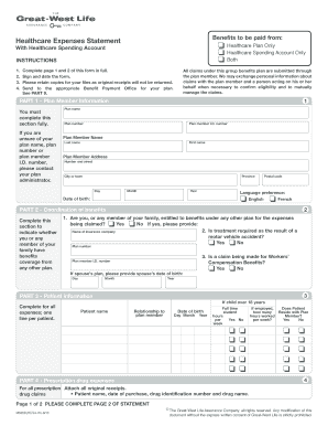 Healthcare Expenses Statement