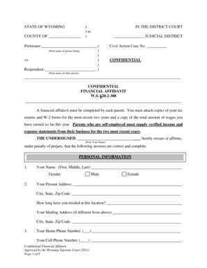 Wyoming Confidential Financial Affidavit