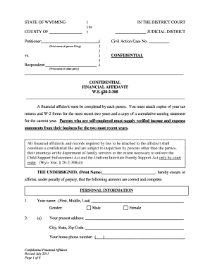 Wyoming Confidential Financial Affidavit