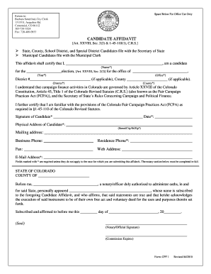 Candidate Affidavit Form