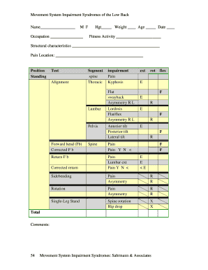 Movement System Impairment Syndromes of the Low Back