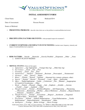 Initial Assessment Form