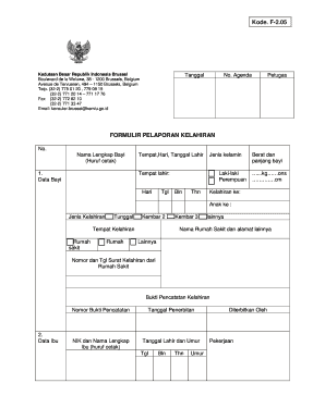 Indonesian Birth Report Form