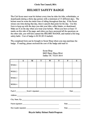 Helmet Safety Badge Program