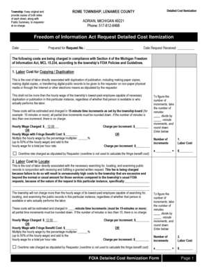 Michigan FOIA Detailed Cost Itemization Form