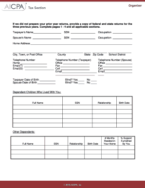 Individual Tax Organizer Form 1040