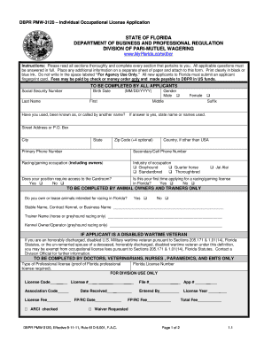 Florida Individual Occupational License Application